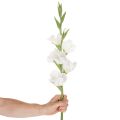 Künstliche Gladiole Weiß 88cm Kunststoff und Textil für Vasen | Floristik21.de