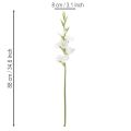 Künstliche Gladiole Weiß 88cm Kunststoff und Textil für Vasen | Floristik21.de