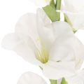Künstliche Gladiole Weiß 88cm