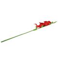 Floristik21 Gladiole Rot künstlich 86cm