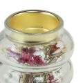 Floristik21 Glas Deko Teelichthalter mit Trockendeko Für LED H8,5cm 4St