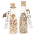 Floristik21 Glasflasche Set mit Muscheln und Anhänger, ca. 17 cm, Naturdeko, 2 Stück