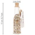 Glasflasche Set mit Muscheln und Anhänger, ca. 17 cm, Naturdeko, 2 Stück | Floristik21.de