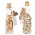 Glasflasche Set mit Muscheln und Anhänger, ca. 17 cm, Naturdeko, 2 Stück | Floristik21.de
