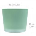 Floristik21 Glas Blumentopf Grün Übertopf Glaskübel Ø10cm H8,5cm