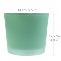 Floristik21 Glas Blumentopf Grün Übertopf Glaskübel Ø14,5cm H12,5cm