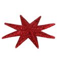 Floristik21 Glitterstern Rot Ø10cm 12St