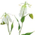 Floristik21 Gloriosa Weiß künstlich 84cm 3St