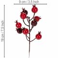 Kunstzweig Granatapfel, 19 cm, rot, 4 Stück, mit verzweigten Stielen | Floristik21.de
