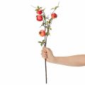 Künstlicher Granatapfelzweig, 68 cm, rote Früchte für Tischdekoration | Floristik21.de