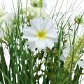 Floristik21 Deko Gras mit Cosmea-Blüten in Schale H45cm