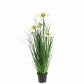 Floristik21 Gras mit Echinacea künstlich im Topf Weiß 52cm