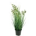 Floristik21 Zittergras Künstliche Gräser Künstliche Topfpflanze 36cm
