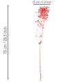 Trockenblumen Schleierkraut Bund 75 cm Rot 100 g für Dekoration | Floristik21.de