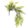 Floristik21 Künstlicher Farnzweig aus Kunststoff, 80cm, Grün, für Innenbereich