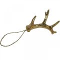 Weihnachtsanhänger Deko Geweih Baumschmuck Gold 7,5cm 6 St | Floristik21.de
