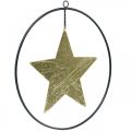 Floristik21 Weihnachtsdeko Stern Anhänger Gold Schwarz 12,5cm 3St