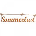 Floristik21 Gartendeko mit Schmetterlingen, Hänger “Sommerlust”, Metalldeko Edelrost L54,5cm H14cm