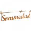 Floristik21 Gartendeko mit Schmetterlingen, Hänger “Sommerlust”, Metalldeko Edelrost L54,5cm H14cm