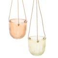Floristik21 Hängetopf Glas Deko Glastopf Retro Grün Braun 14,5cm 2St