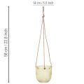 Hängetopf Glas Deko Glastopf Retro Grün Braun 14,5cm 2St | Floristik21.de