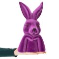 Hase Denkend Beflockt Hasenbüste Ostern 16,5×13×27cm | Floristik21.de