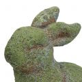 Floristik21 Gartenfigur Hase bemoost 20cm x 13cm H25cm