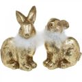 Floristik21 Gold Hase sitzend Goldfarben Terracotta mit Federn H20cm 2St