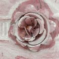 Floristik21 Henkeltopf Rosa gewaschen mit Rose Ø22cm H13,5cm