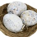 Floristik21 Eier Sortiment Gans, Huhn und Wachtel 3,5cm – 8cm 12St