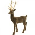 Floristik21 Deko Hirsch Dekofigur Deko-Rentier Beflockt Braun H46cm