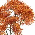 Floristik21 Holunder Orange Künstlicher Blütenzweig 52cm 4St