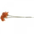 Floristik21 Holunder Orange Künstlicher Blütenzweig 52cm 4St