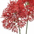 Floristik21 Holunder Rot Kunstblumen für Herbststrauß 52cm 6St