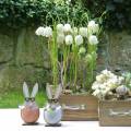 Floristik21 Holz-Hase im Ei, Frühlingsdeko, Hasen mit Brille, Osterhasen 3St