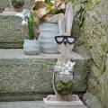 Floristik21 Holzhasen mit Sonnenbrille und Korb Natur, Osterdeko, Hasen-Figur mit Pflanzkorb, Frühlingsdeko 2St