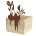 Floristik21 Pflanzkiste Holz mit Rostdeko Gemüse Übertopf 17×17×12cm