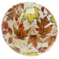 Floristik21 Holzpilz Deko Herbstlaub Weiß, Bunt Herbstdeko Ø13cm H19cm