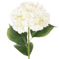 Floristik21 Hortensie künstlich Langstiel Kunstblume 60cm Creme