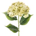 Floristik21 Künstliche Hortensie 60cm Creme-Grün mit Drahtkern