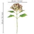 Künstliche Hortensie mit Stiel 46cm hellgrün-rosa | Floristik21.de