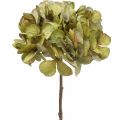 Hortensie künstlich Grün Kunstblume 64cm