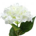 Floristik21 Hortensie groß künstlich Weiß L110cm