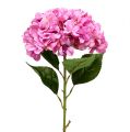 Floristik21 Hortensie Maxi Rosa Ø30cm L113cm