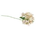 Floristik21 Hortensie künstlich Creme Gartenblume mit Knospen 52cm