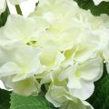 Floristik21 Hortensie künstlich Weiß Seidenblumen Strauß Sommerdeko 42cm