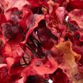 Künstliche Hortensie Blütenzweig 74cm Rot Kunstseide | Floristik21.de