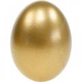 Floristik21 Hühnereier Golden Ausgeblasene Eier Osterdeko 10St