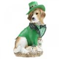 Floristik21 Beagle mit Hut, St. Patrick's Day, Hund mit Anzug, Gartendeko, Jagdhund H24,5cm