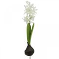 Floristik21 Künstliche Hyazinthe mit Zwiebel Kunstblume Weiß zum Stecken 29cm
